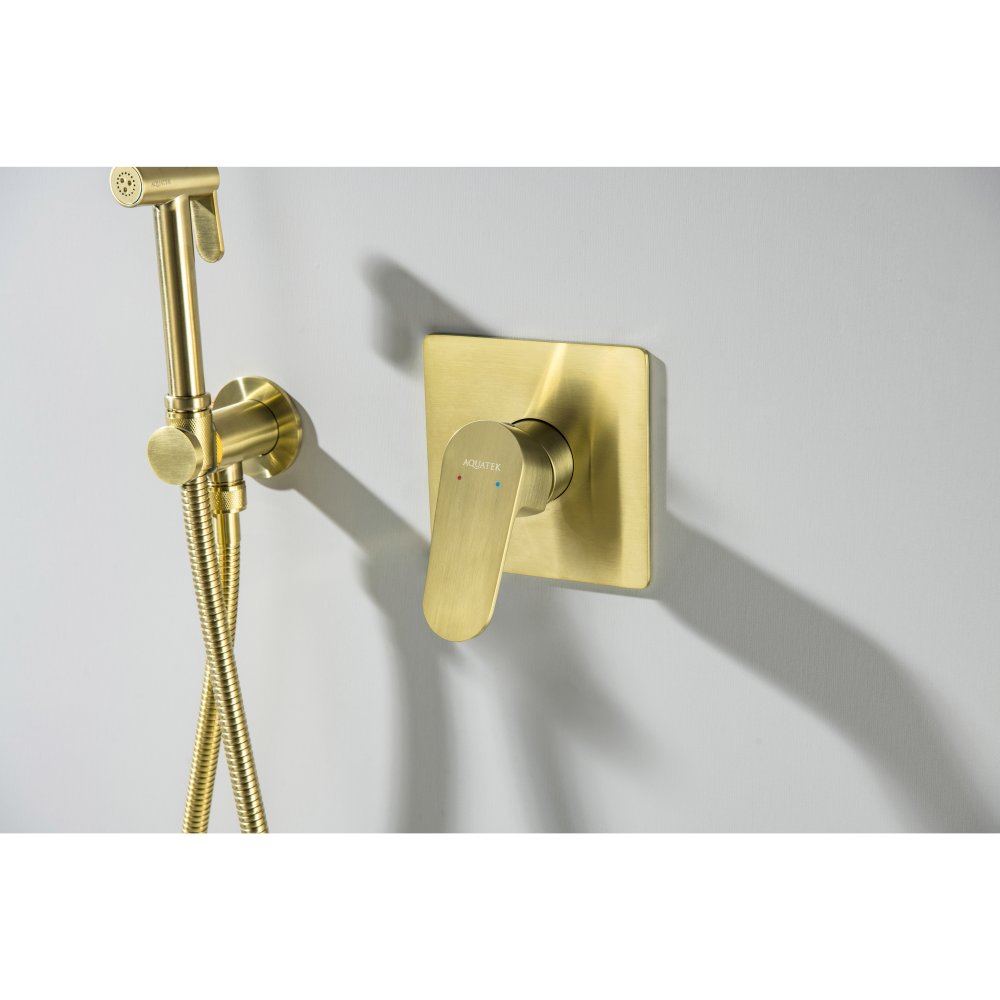 Смеситель для душа Aquanet Oberon скрытого монтажа 1 режим шлифованное золото AQ1266BG