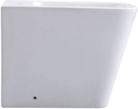 Биде напольное Aquanet Libra New 560х370х400 мм AQ1266N-00