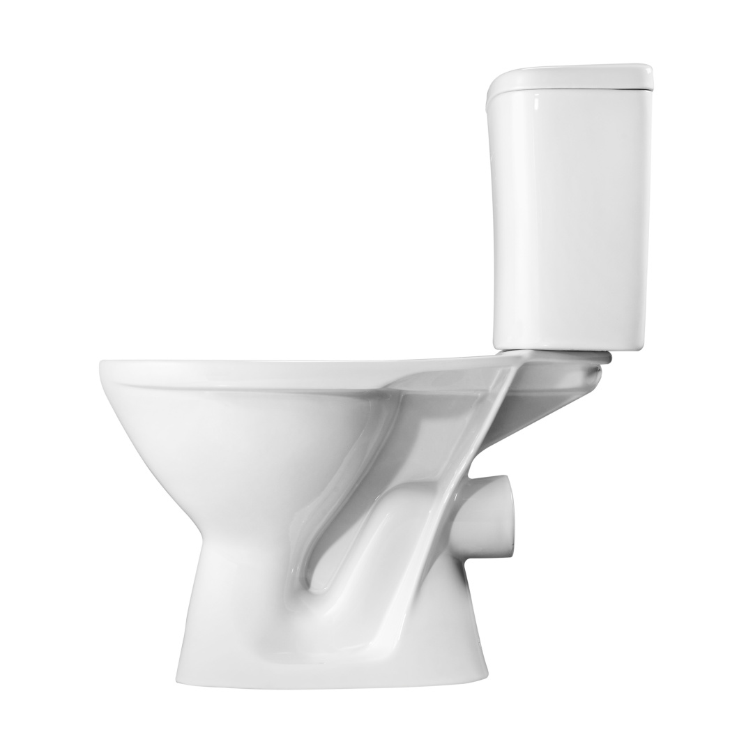 Унитаз-компакт Sanita Pro белый сиденье полипропилен горизонтальный выпуск 1.P215.5.S00.00B.F