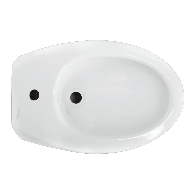 Биде подвесное Salini Ringo Белый BD.WH/Ringo/C/WHT.G/S1