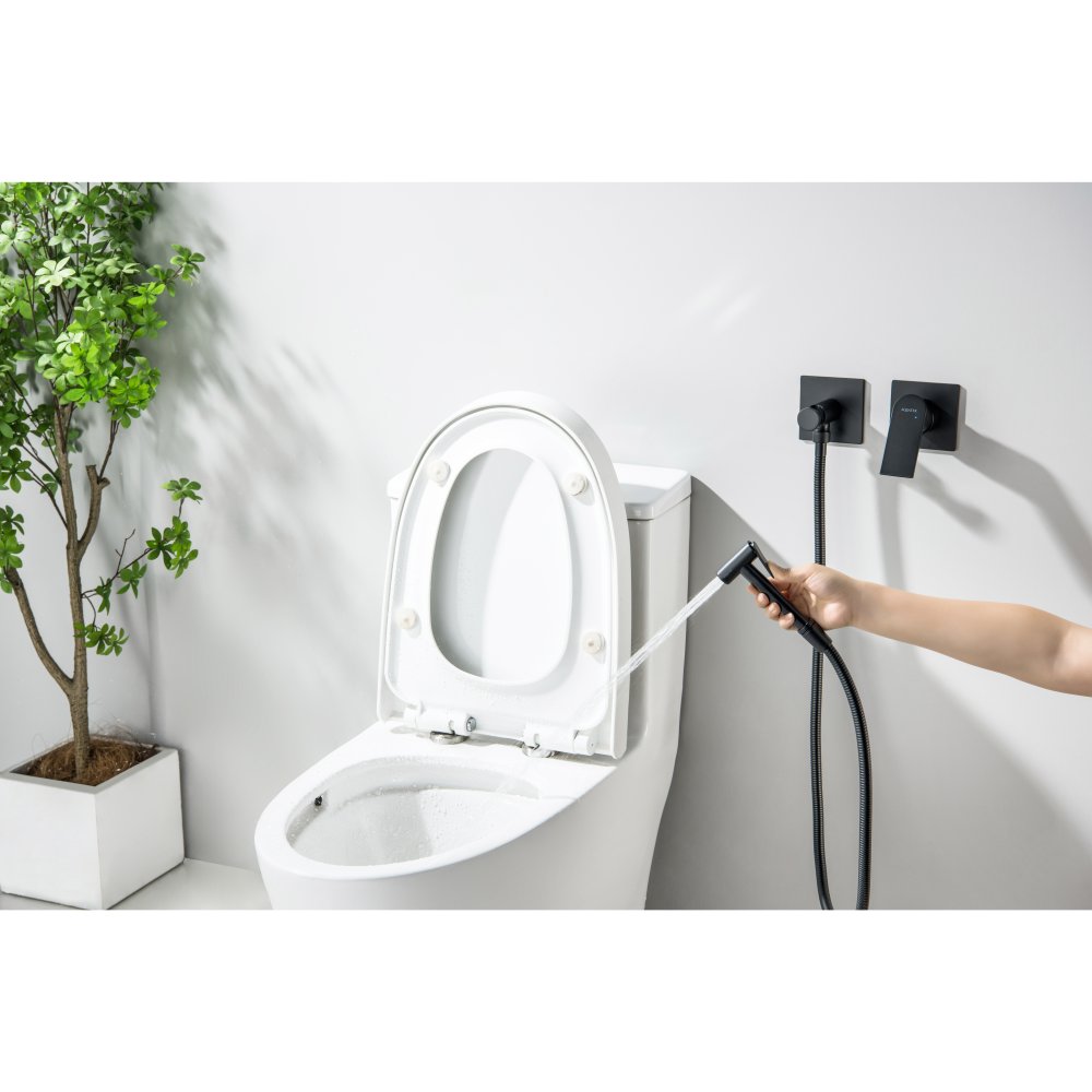 Комплект для гигиенического душа Aquanet Лира встроенный 2 отверстия матовый черный AQ1420MB