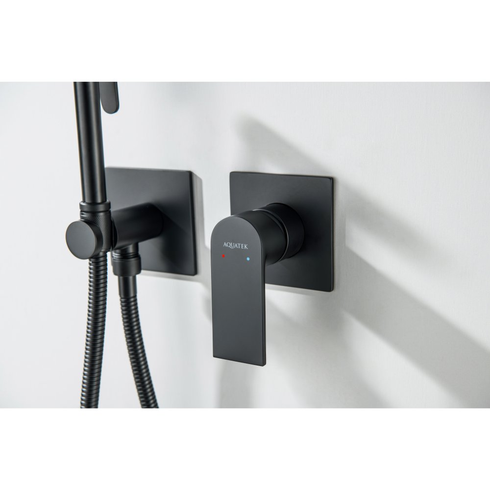 Комплект для гигиенического душа Aquanet Лира встроенный 2 отверстия матовый черный AQ1420MB