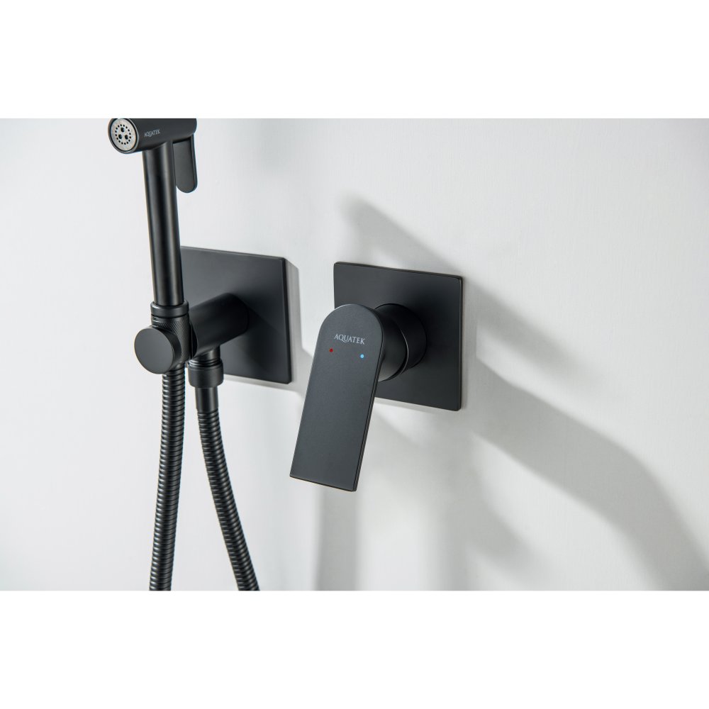 Комплект для гигиенического душа Aquanet Лира встроенный 2 отверстия матовый черный AQ1420MB