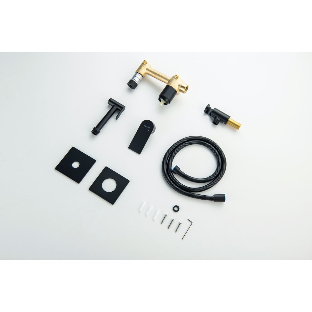 Комплект для гигиенического душа Aquanet Лира встроенный 2 отверстия матовый черный AQ1420MB