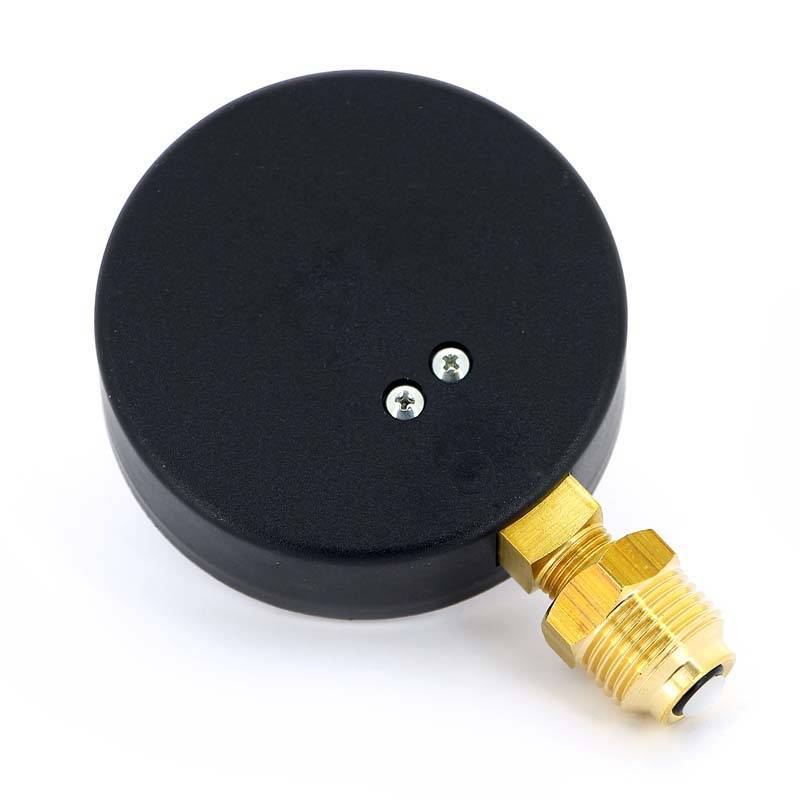 Термоманометр радиальный Watts F+R 828 10 бар 120 °C 1/2 10025525