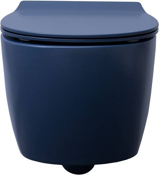 Унитаз подвесной безободковый Allen Brau Fantasy 51x36.3 см индиго 4.11004.ID