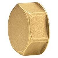 Пробка для коллектора Giacomini R586 1 ВР R594Y004