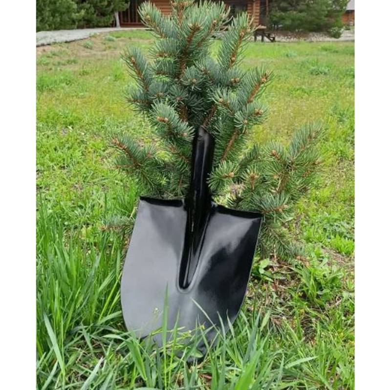 Трап Fachmann T 310.0 SNsP 122x122 мм горизонтальный выпуск 50/75/110 мм гидрозатвор 04.077