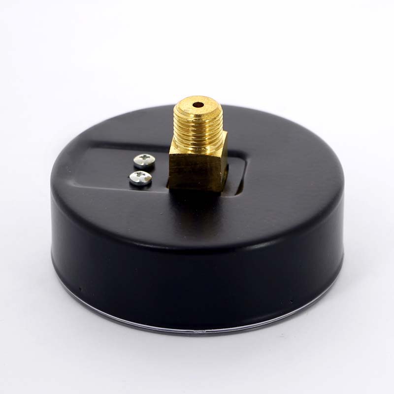 Манометр аксиальный Watts F+R100 10 бар 80 мм 1/4 10008024