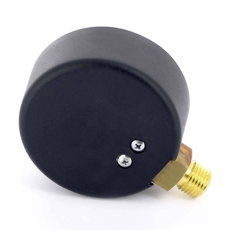 Манометр радиальный Watts F+R200 1/2 16 бар 80 мм 10007794