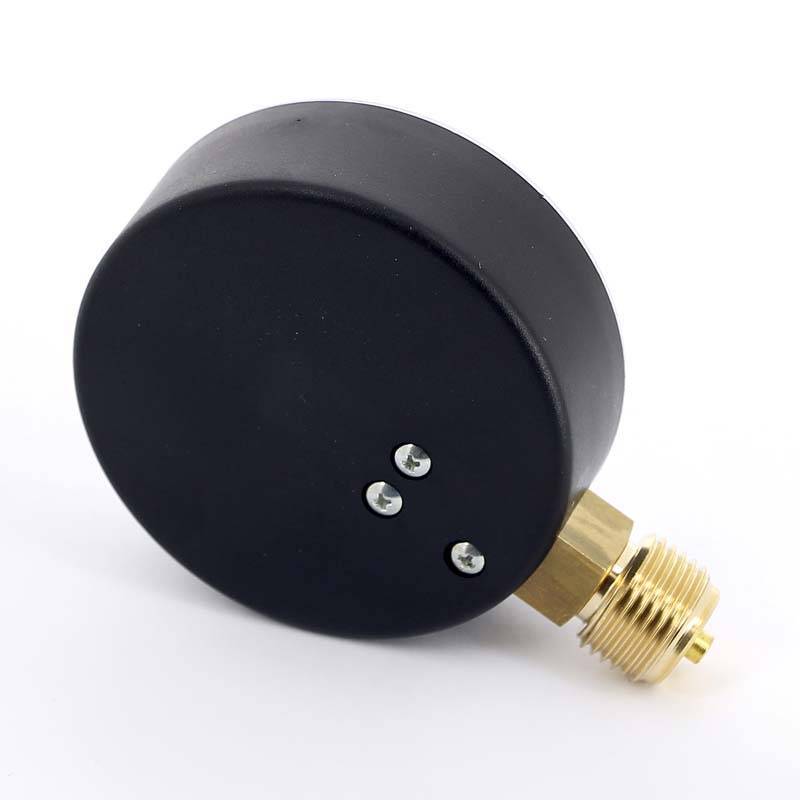 Манометр радиальный Watts F+R200 1/2 10 бар 80 мм 10007793