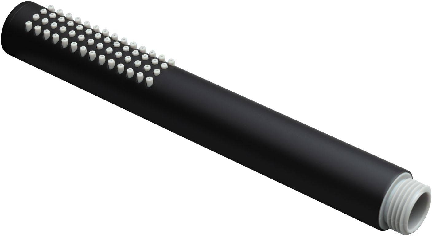 Душевая лейка Allen Brau Priority черный 5.31020-31