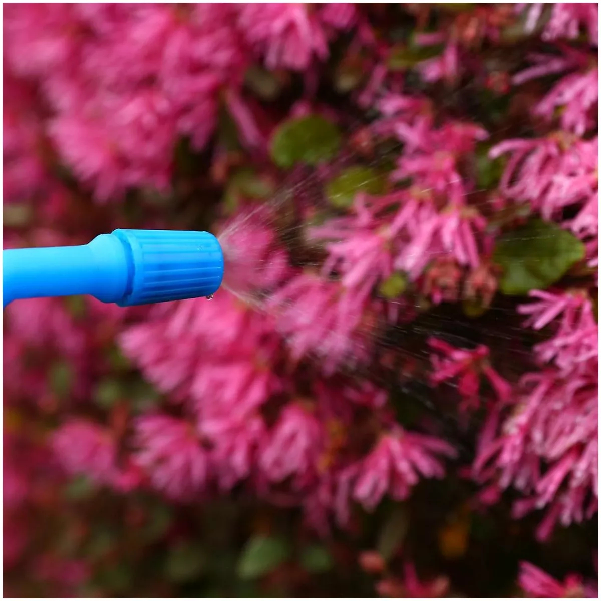 Опрыскиватель садовый помповый DEKO DKSP08 8 л 065-0931