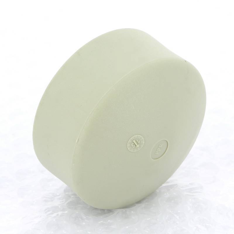 Заглушка полипропиленовая FV-Plast 50 мм под сварку 229050