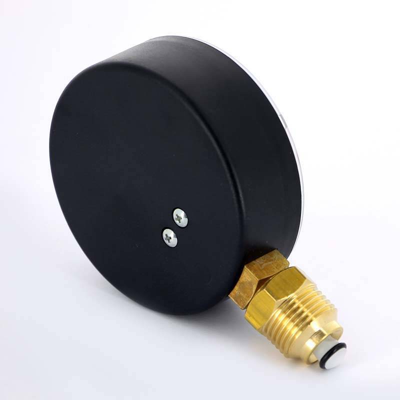 Термоманометр радиальный Watts F+R 828 4 бар 120 °C 1/2 10025526