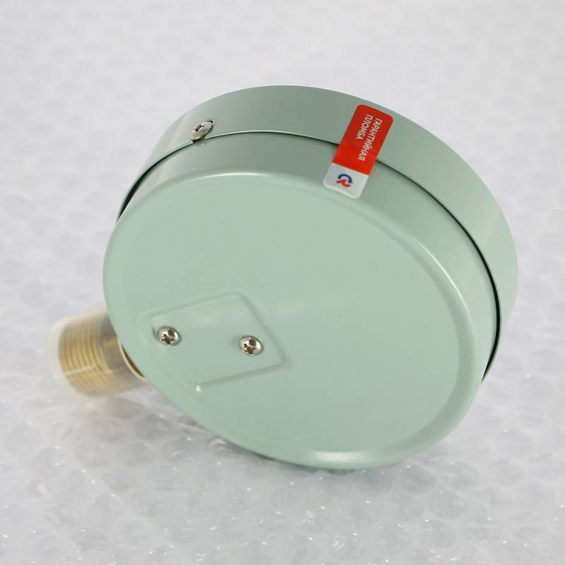 Манометр Росма ТМ-510P.00 M2 100 мм 0-6 бар G1/2 радиальный кл.1.5 00000006817