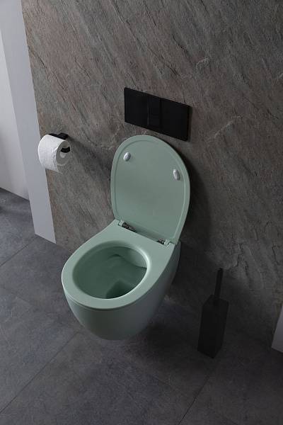 Чаша подвесного унитаза Allen Brau Fantasy зеленый 4.11004.MT