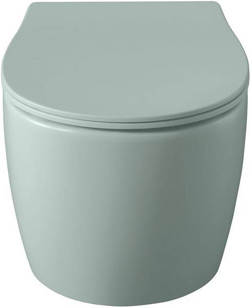 Чаша подвесного унитаза Allen Brau Fantasy зеленый 4.11004.MT