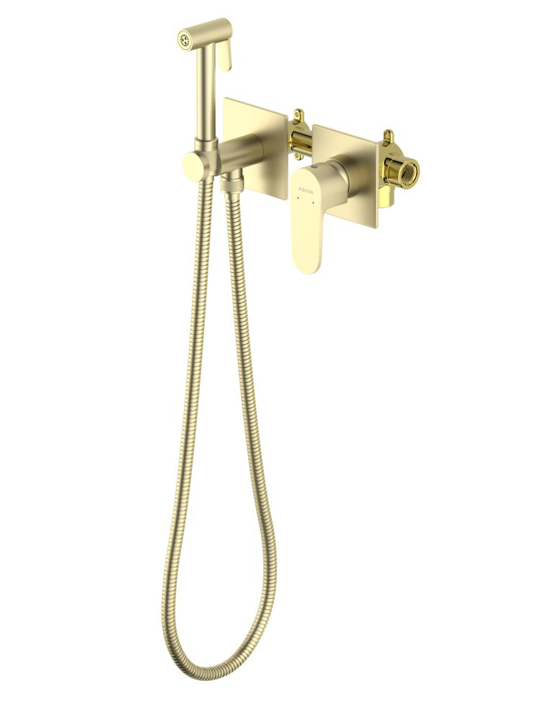 Комплект для гигиенического душа встроенный Aquanet Oberon шлифованное золото AQ1220BG
