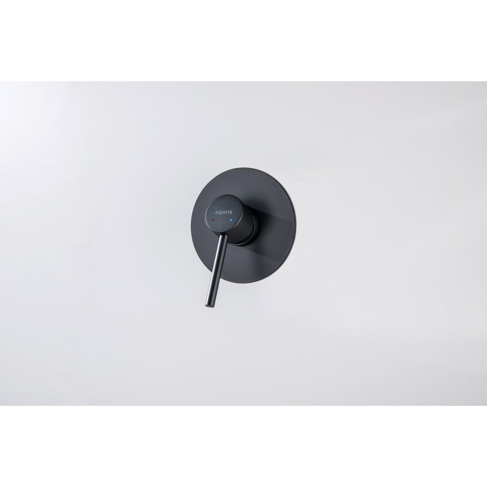 Смеситель для душа скрытого монтажа Aquanet Европа 1 режим матовый черный AQ1366MB