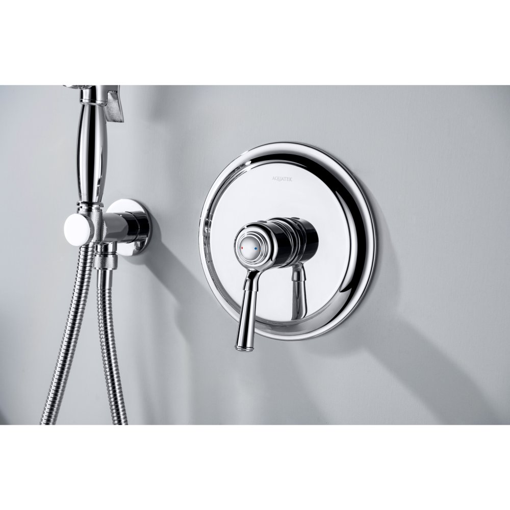 Набор с гигиеническим душем Aquanet Классик со смесителем AQ1519CR