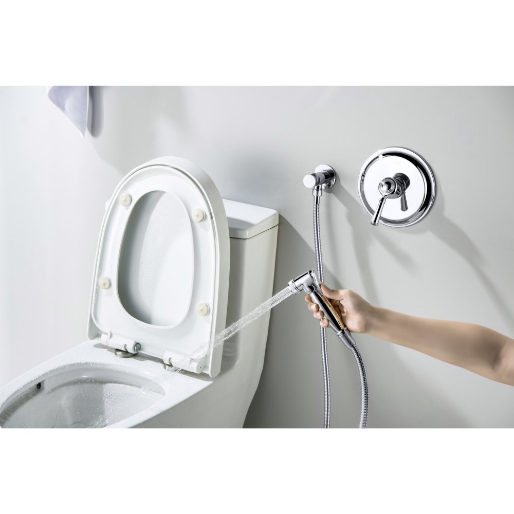 Набор с гигиеническим душем Aquanet Классик со смесителем AQ1519CR