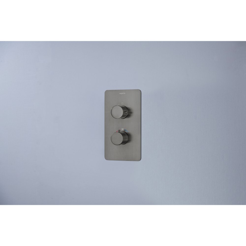Смеситель для душа термостатический Aquanet Европа скрытого монтажа оружейная сталь AQ1391BGM