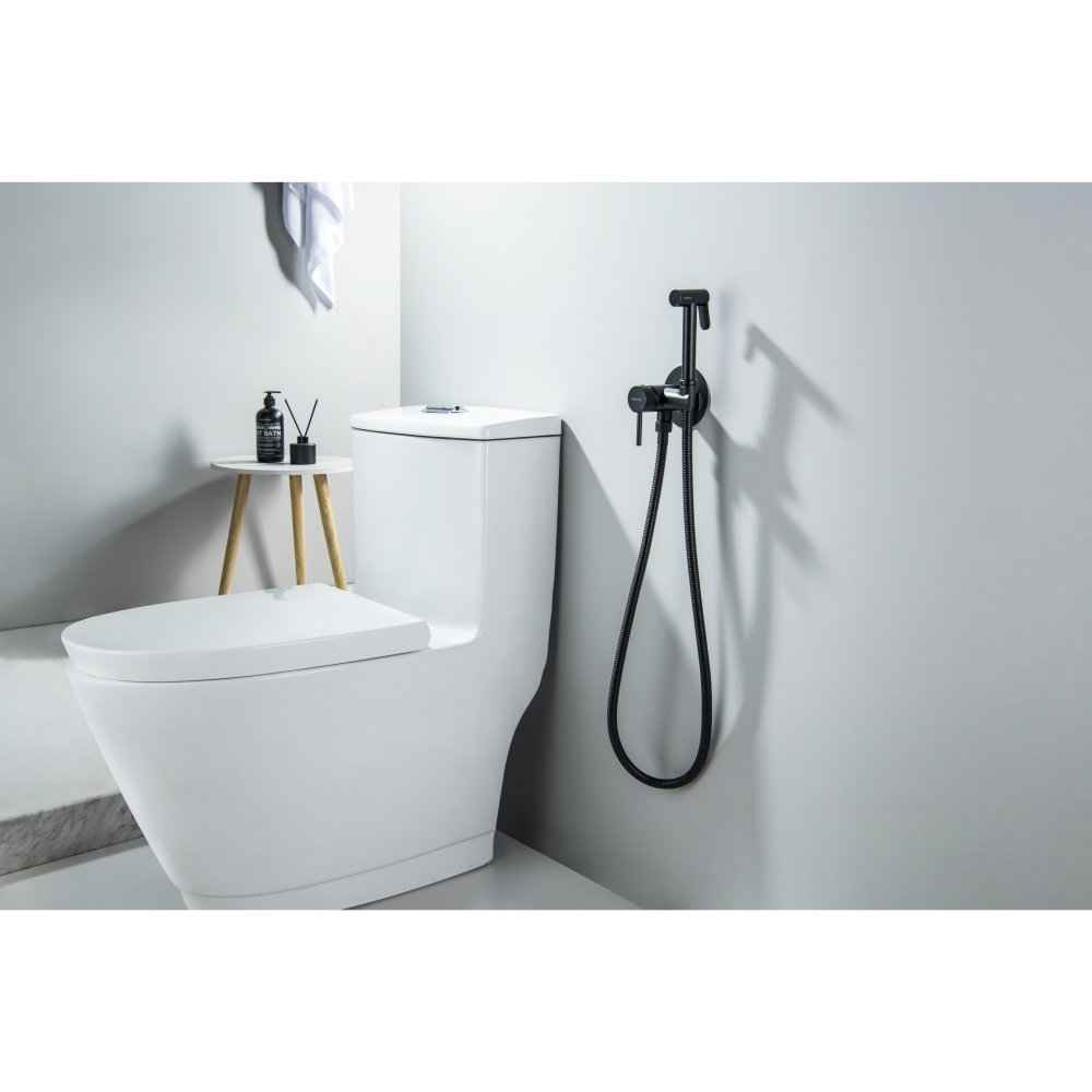 Комплект для гигиенического душа встроенный Aquatek Европа матовый черный AQ1021MB