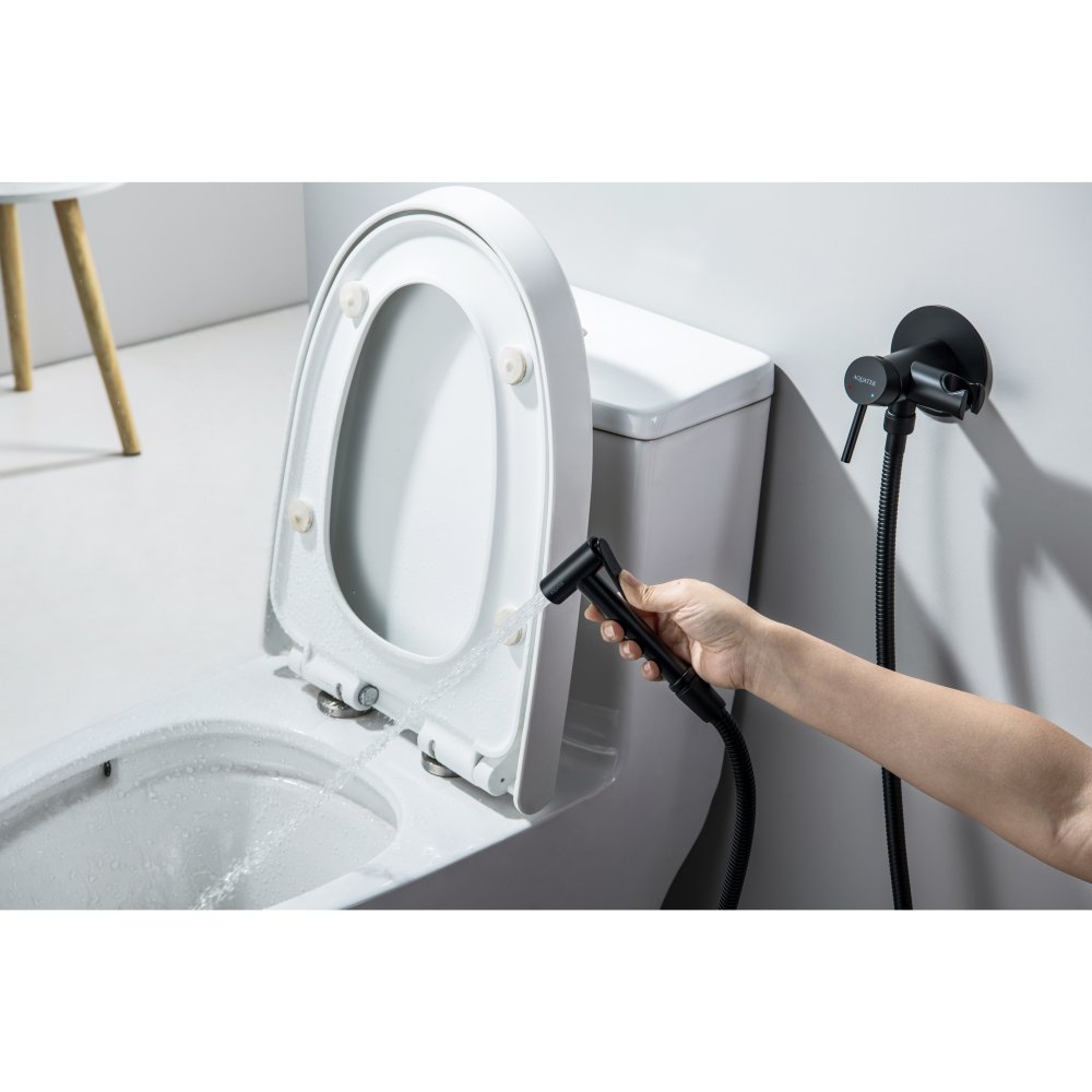 Комплект для гигиенического душа встроенный Aquatek Европа матовый черный AQ1021MB