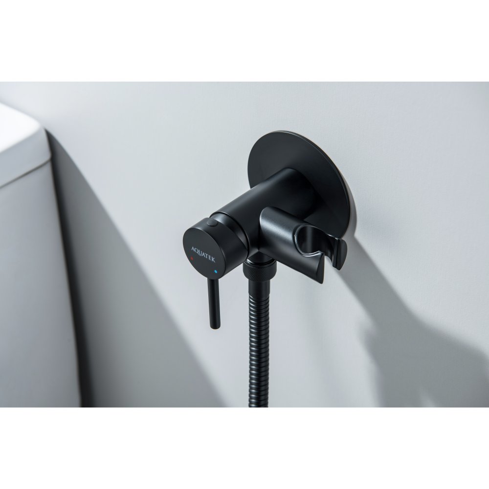 Комплект для гигиенического душа встроенный Aquatek Европа матовый черный AQ1021MB