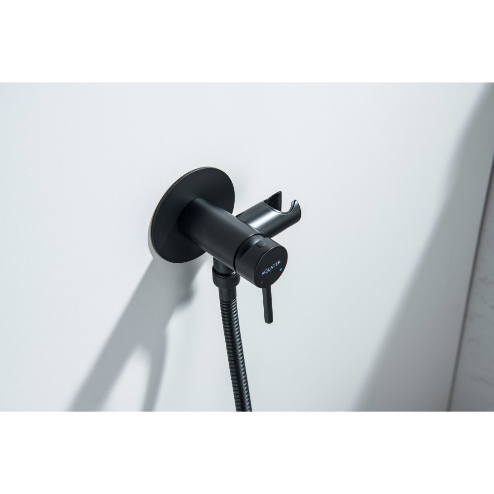 Комплект для гигиенического душа встроенный Aquatek Европа матовый черный AQ1021MB