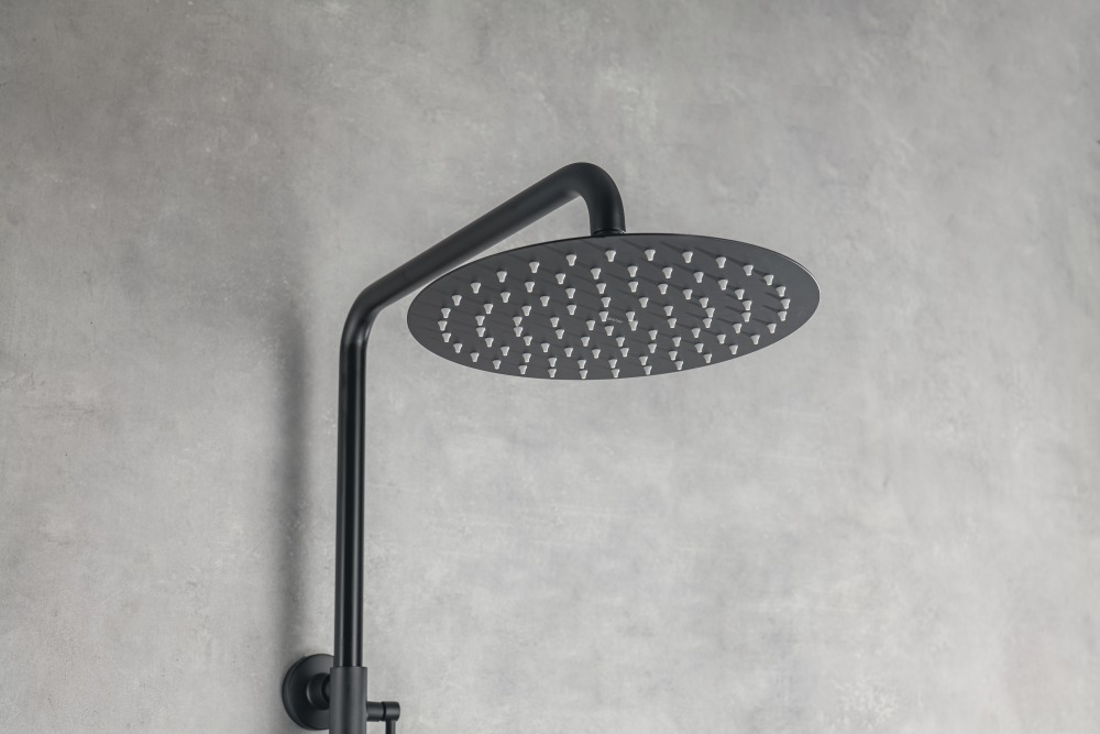 Душевая система Aquanet Вега Reno 3jet 250 мм матовый черный AQ2046MB