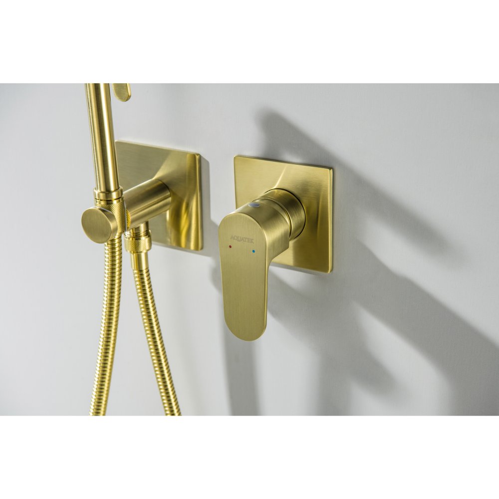 Комплект для гигиенического душа встроенный Aquanet Oberon шлифованное золото AQ1220BG