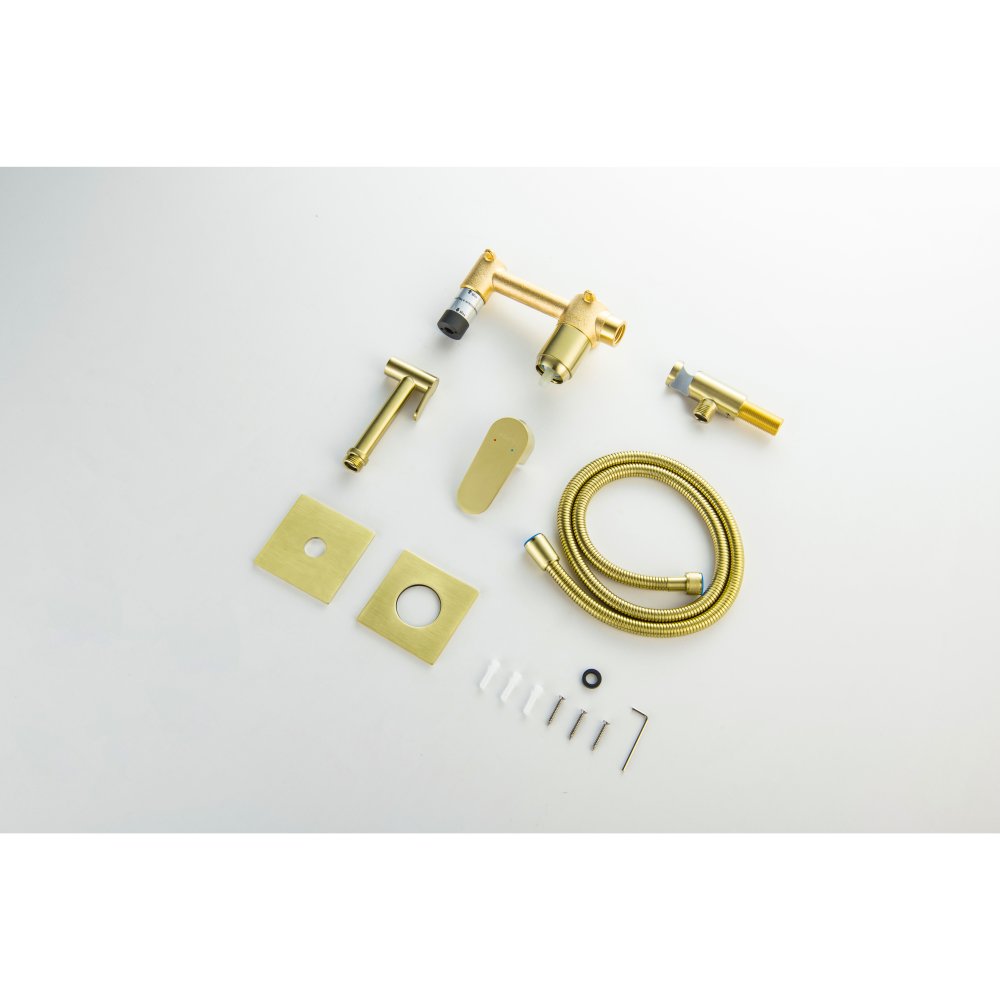 Комплект для гигиенического душа встроенный Aquanet Oberon шлифованное золото AQ1220BG