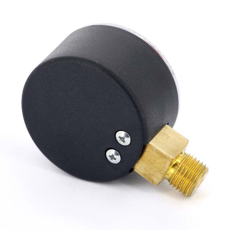 Манометр радиальный Watts F+R201 50 мм 1/4 4 бар с указателем предела 10007375