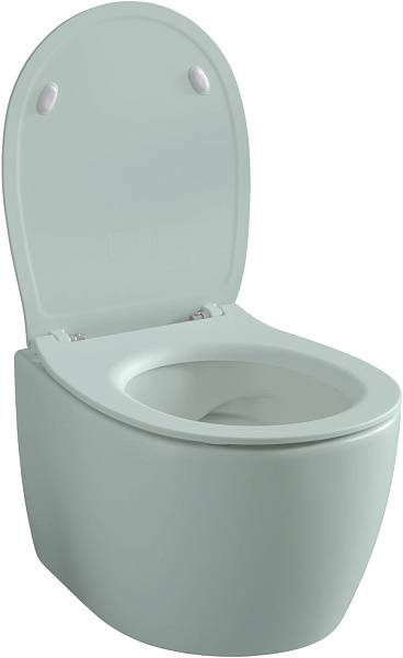 Чаша подвесного унитаза Allen Brau Fantasy зеленый 4.11004.MT