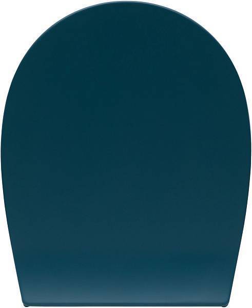 Крышка-сиденье для унитаза Allen Brau Fantasy 36x44 см зеленая 4.11005.PT