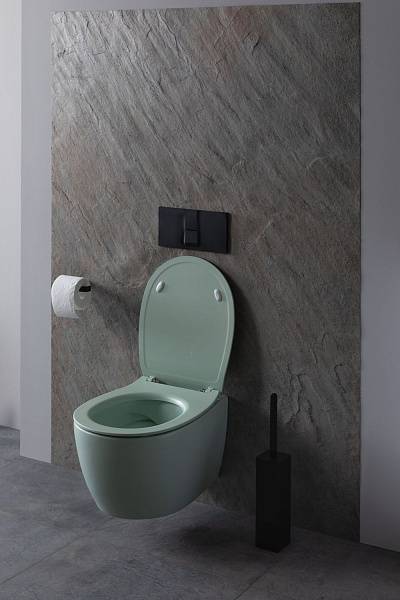 Чаша подвесного унитаза Allen Brau Fantasy зеленый 4.11004.MT