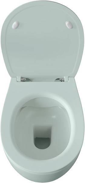 Чаша подвесного унитаза Allen Brau Fantasy зеленый 4.11004.MT