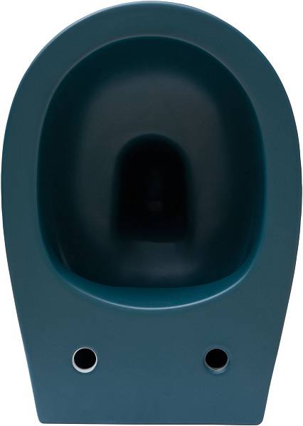 Унитаз подвесной Allen Brau Fantasy 36.3x51x40 см зеленый 4.11004.PT