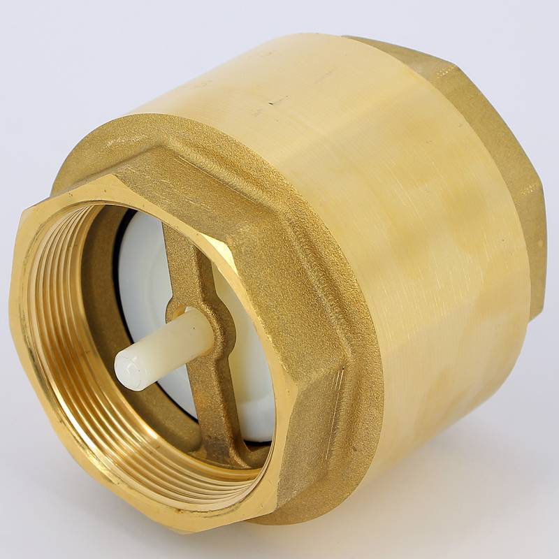 Клапан обратный пружинный ITAP York с пластиковым затвором 2 1/2 1030212