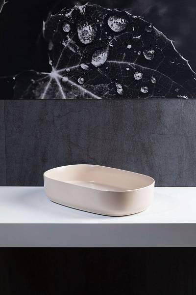 Раковина накладная Allen Brau Fantasy 55 см бежевый 4.11022.IV