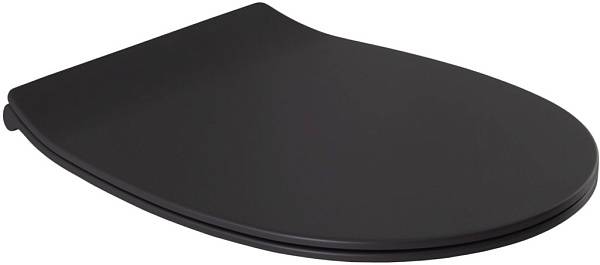 Крышка-сиденье для унитаза Allen Brau Fantasy Smartfix Soft-Close антрацит 4.11005.AN