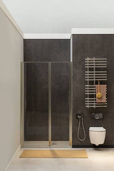 Душевая дверь Allen Brau Priority 160x200 см серебро стекло прозрачное 8 мм 3.31038.BA