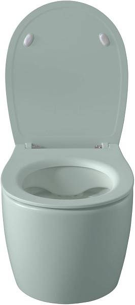 Чаша подвесного унитаза Allen Brau Fantasy зеленый 4.11004.MT