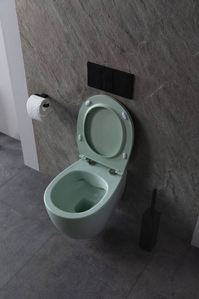 Чаша подвесного унитаза Allen Brau Fantasy зеленый 4.11004.MT