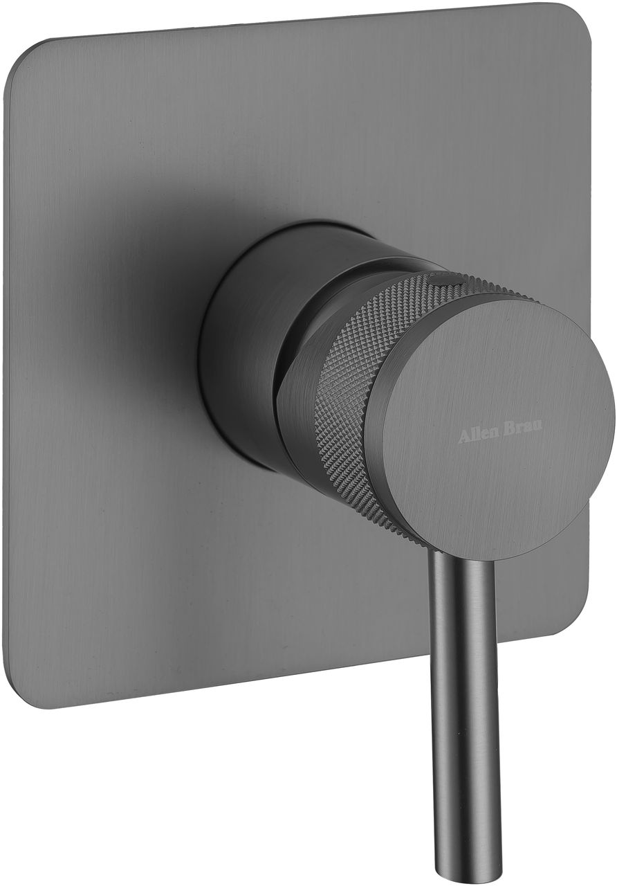 Смеситель для душа встраиваемый Allen Brau Priority графит браш 5.31012-MG