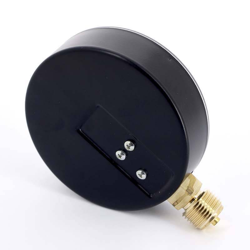 Манометр радиальный Watts F+R250 100 мм 1/2 6 бар 10008077