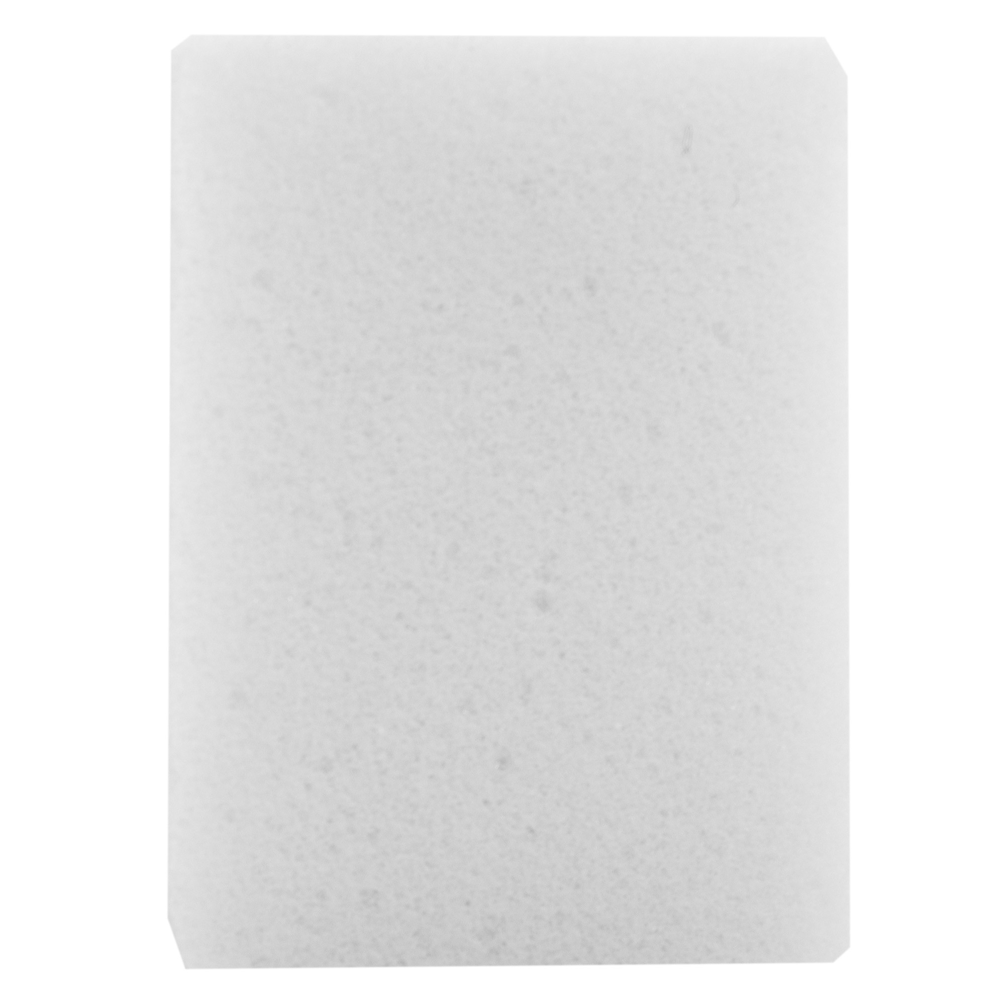 Губка для аромакапсулы приточного очистителя Ballu OneAir ASP-200 7.05.06.00056