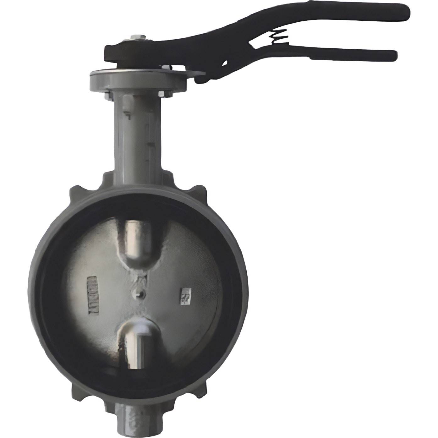 Затвор дисковый поворотный Giacomini Ду 100 R59WX010